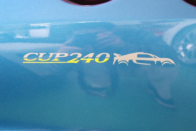 CUP240